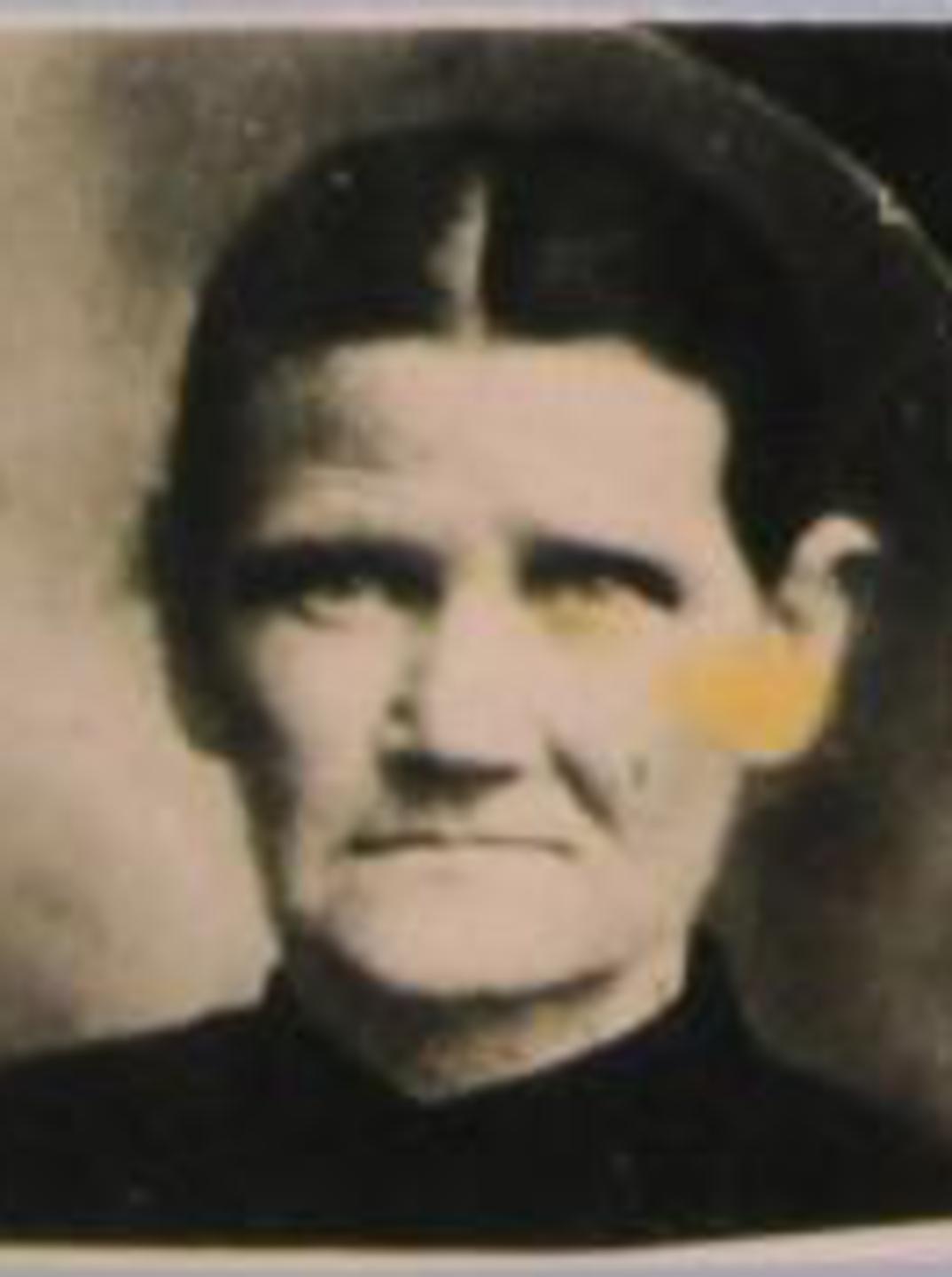 Polly Williams (1839 - 1914) Profile